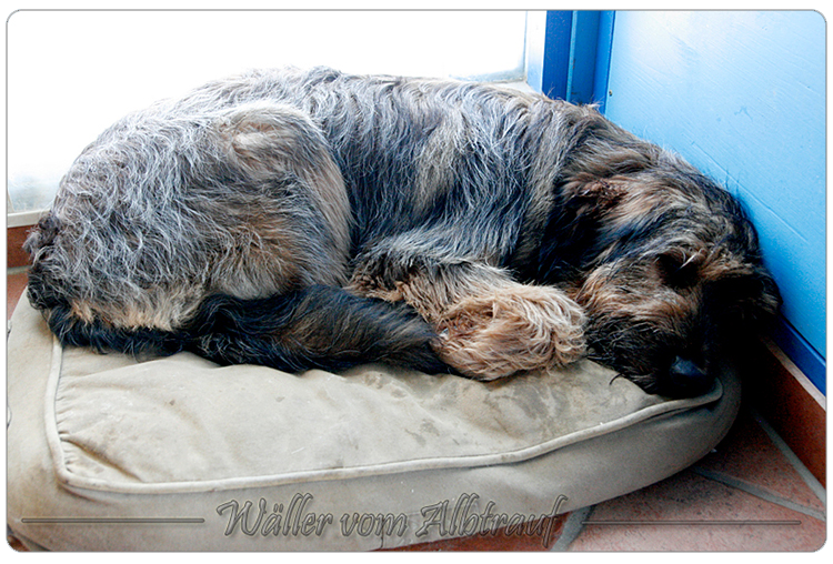 Wäller vom Albtrauf